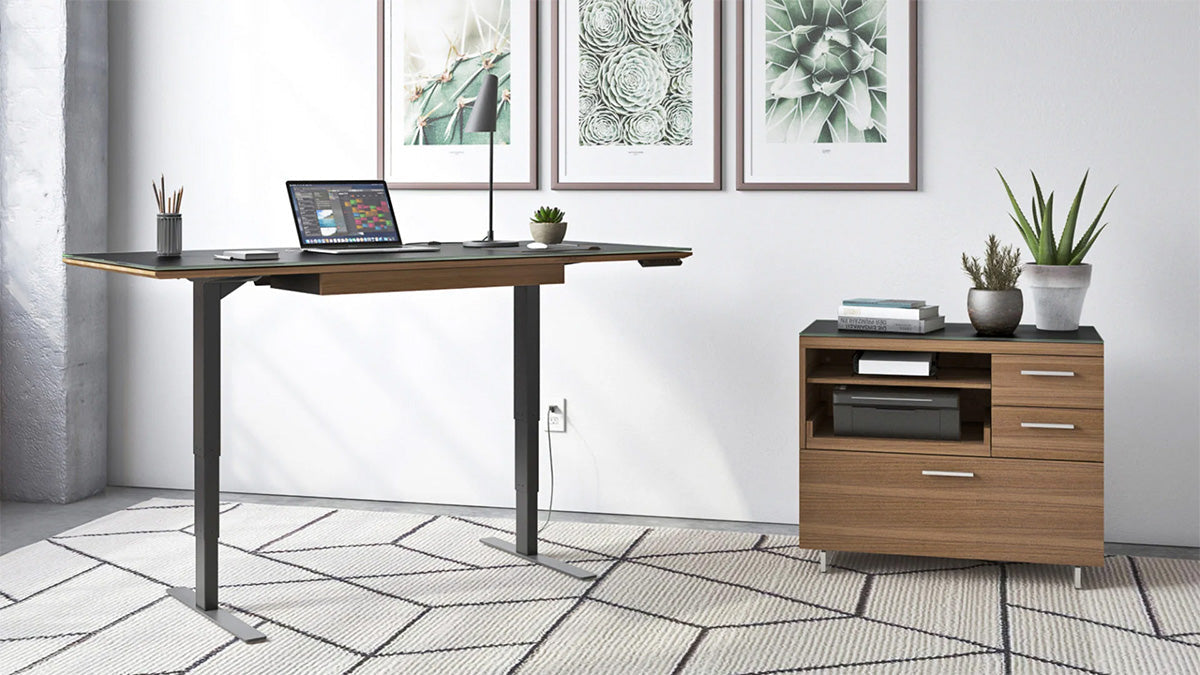 Scrivania regolabile in altezza - 60x24 - Disponibile anche in modello più grande.Caratteristiche: Tastiera programmabile Vano per la gestione dei cavi Canalette per la gestione dei cavi